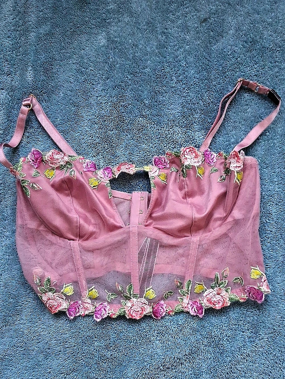 NWT Victoria's Secret Dream Angels Blossom Embroidery Plunge Corset Top Large